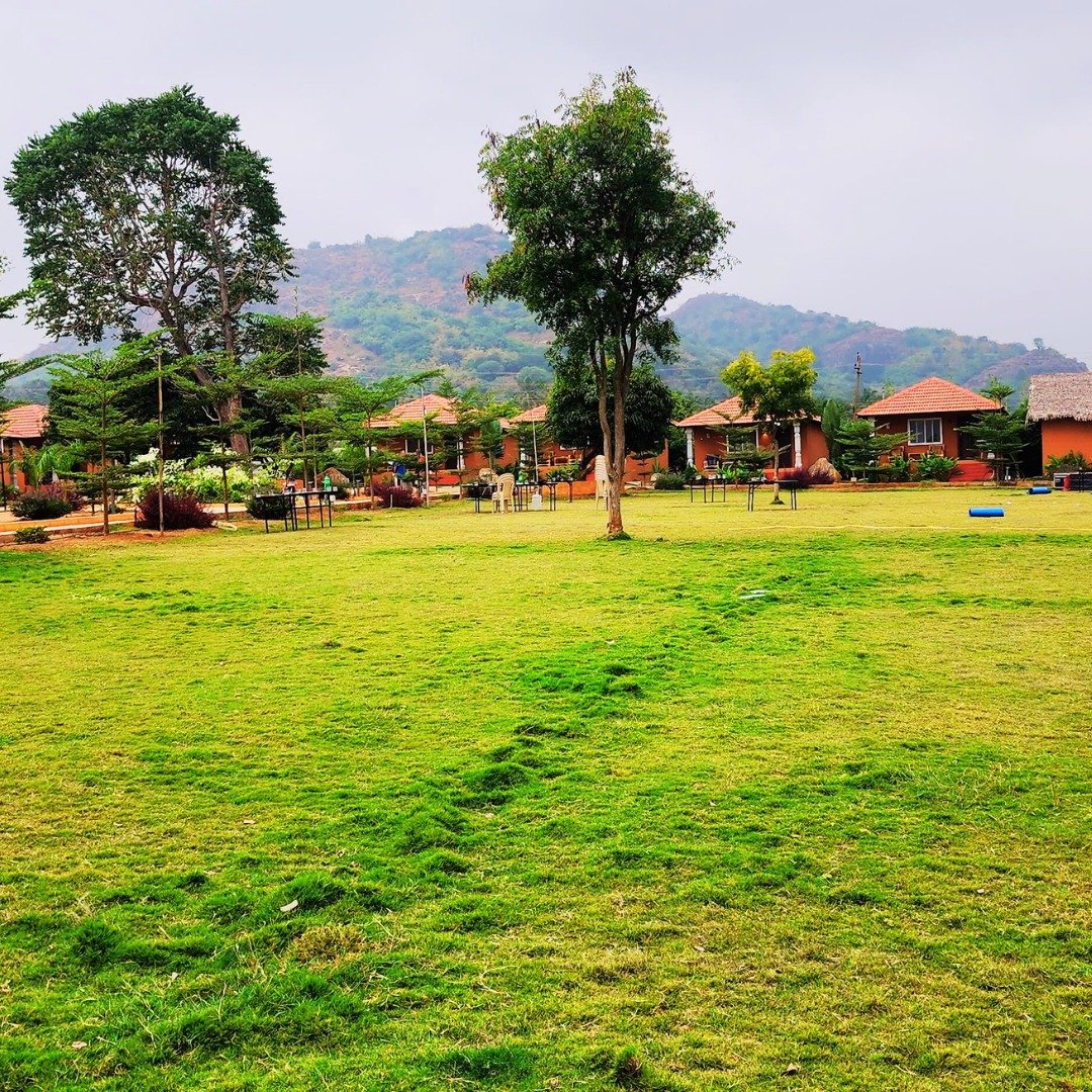 Cottages set around the resort's landscaped lawn